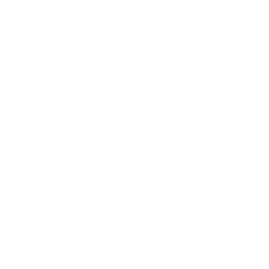 Toyota logo